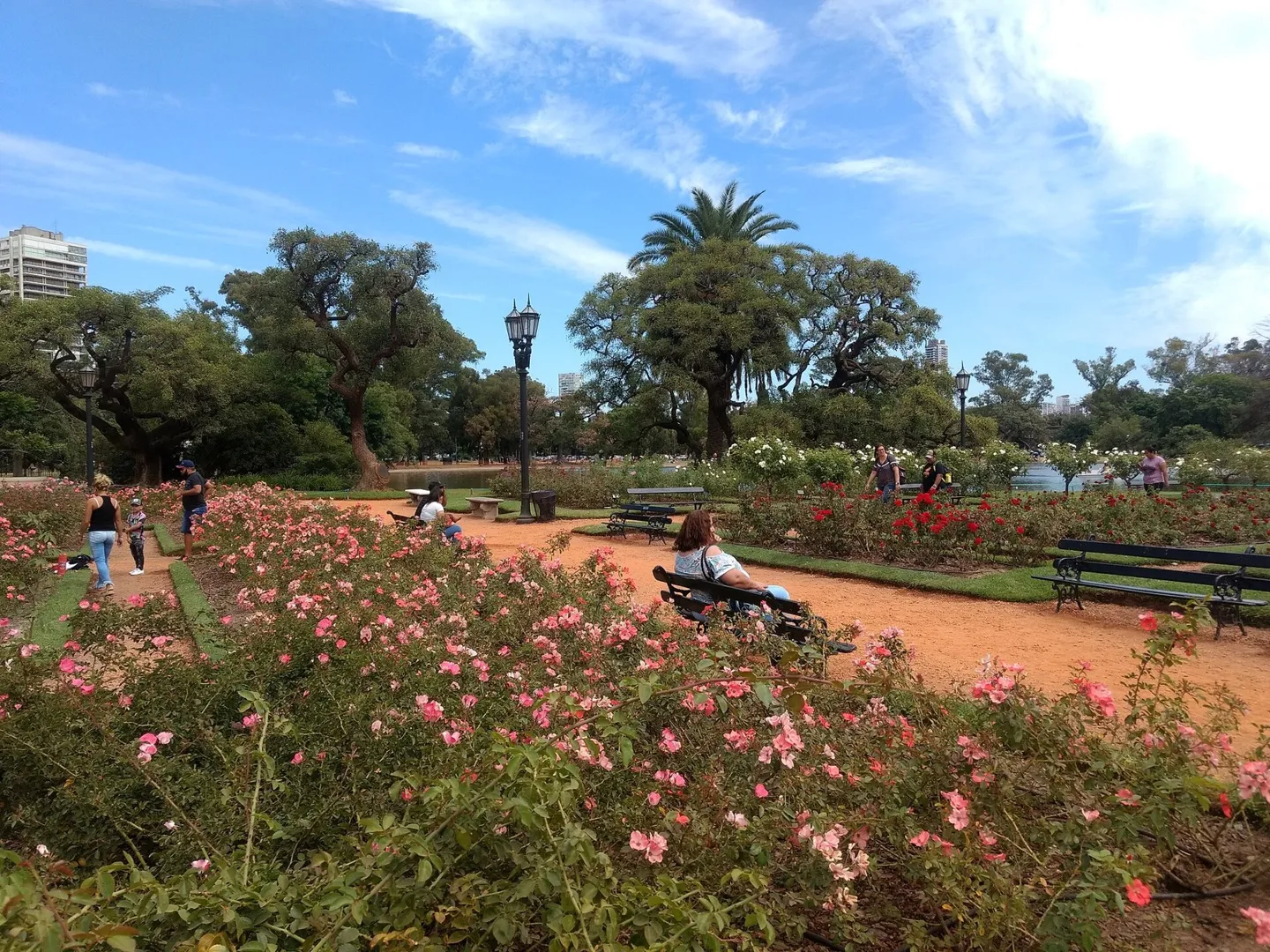 Visita al Rosedal de Palermo en Febrero de 2020.