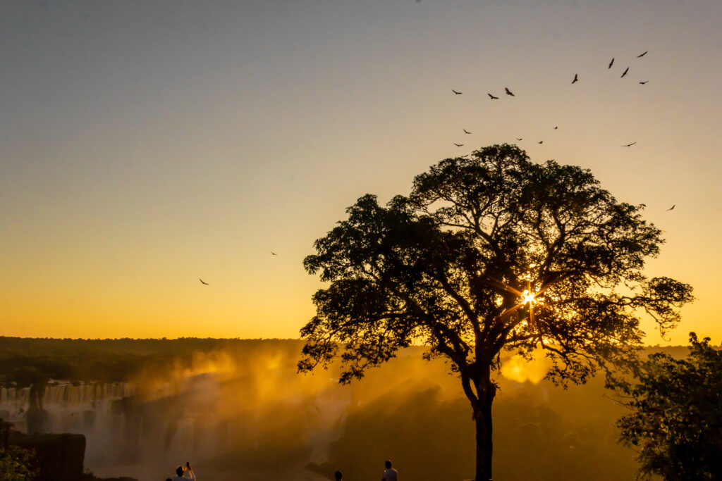 Cataratas do Iguaçu no Por do Sol - Golden Hour