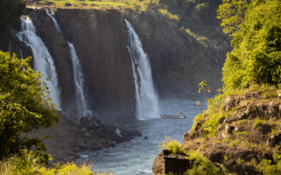Macuco Safari - Todos os direitos reservados - Rafael Guimarães fotografia